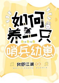 哨兵攻略